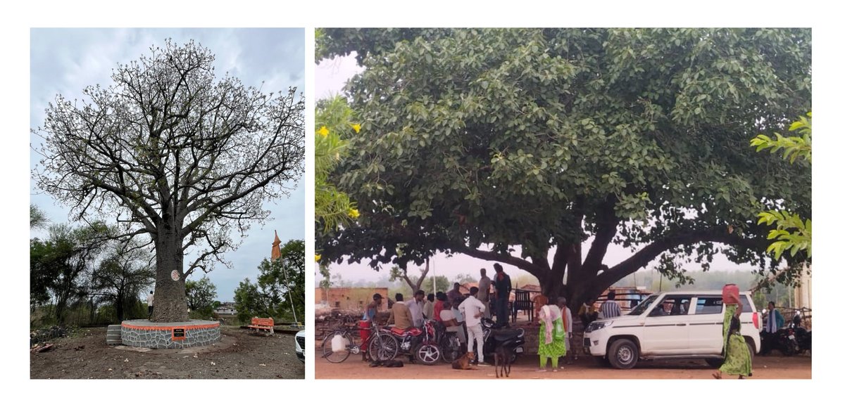 Down To Earth tweet media