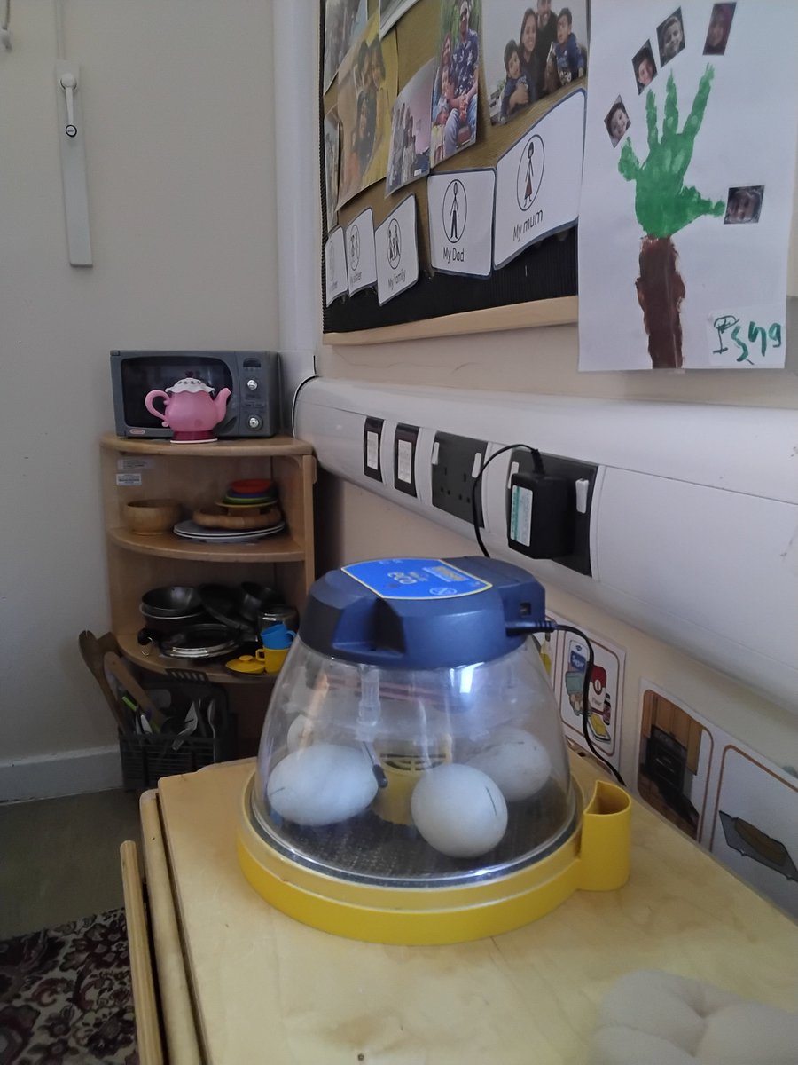 MountStewartSch's tweet photo. This morning, 4J had the pleasure of visiting nursery to see their eggs and ducklings. I think we still have some waiting to do😂😀. We had a fun Q&amp;A session followed by choosing some creative names for the ducklings. #tmssyear4 #creativelearning https://t.co/MlUhZpva8k