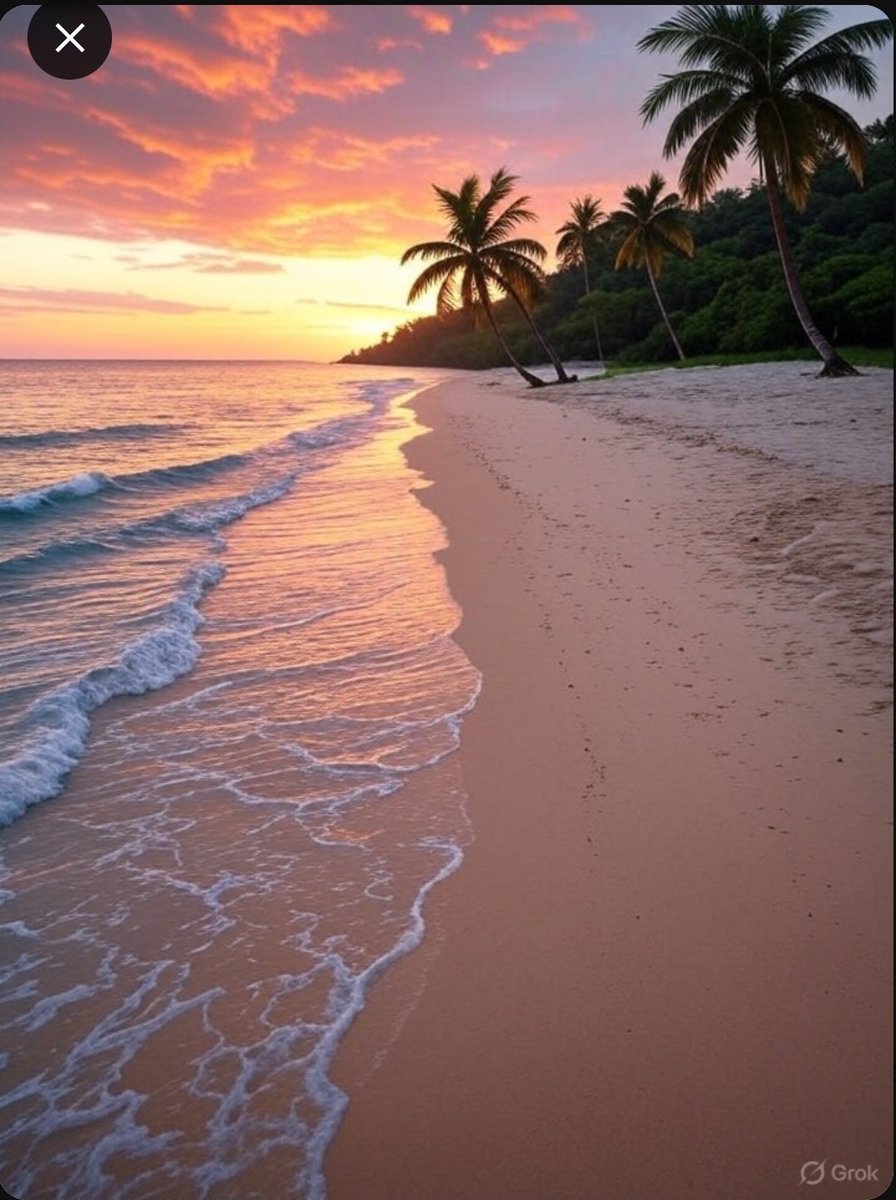 MrKosal22's tweet photo. Island 🏝️🏖️💯😊 I am always welcome 🤗 #LoveIsland #BINI #Trump #IranUnderAttack #IslandLife #forest https://t.co/assEtDLtnm