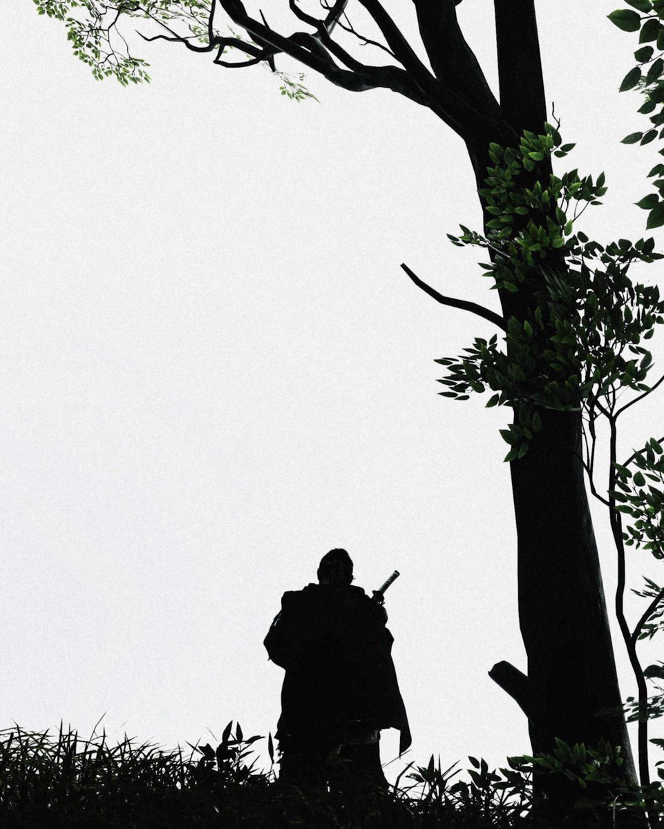 CaptureKnight's tweet image. SILENCIO

#VPRT #VirtualPhotography #ThePhotomode #PSPhotomode #GhostOfTsushima