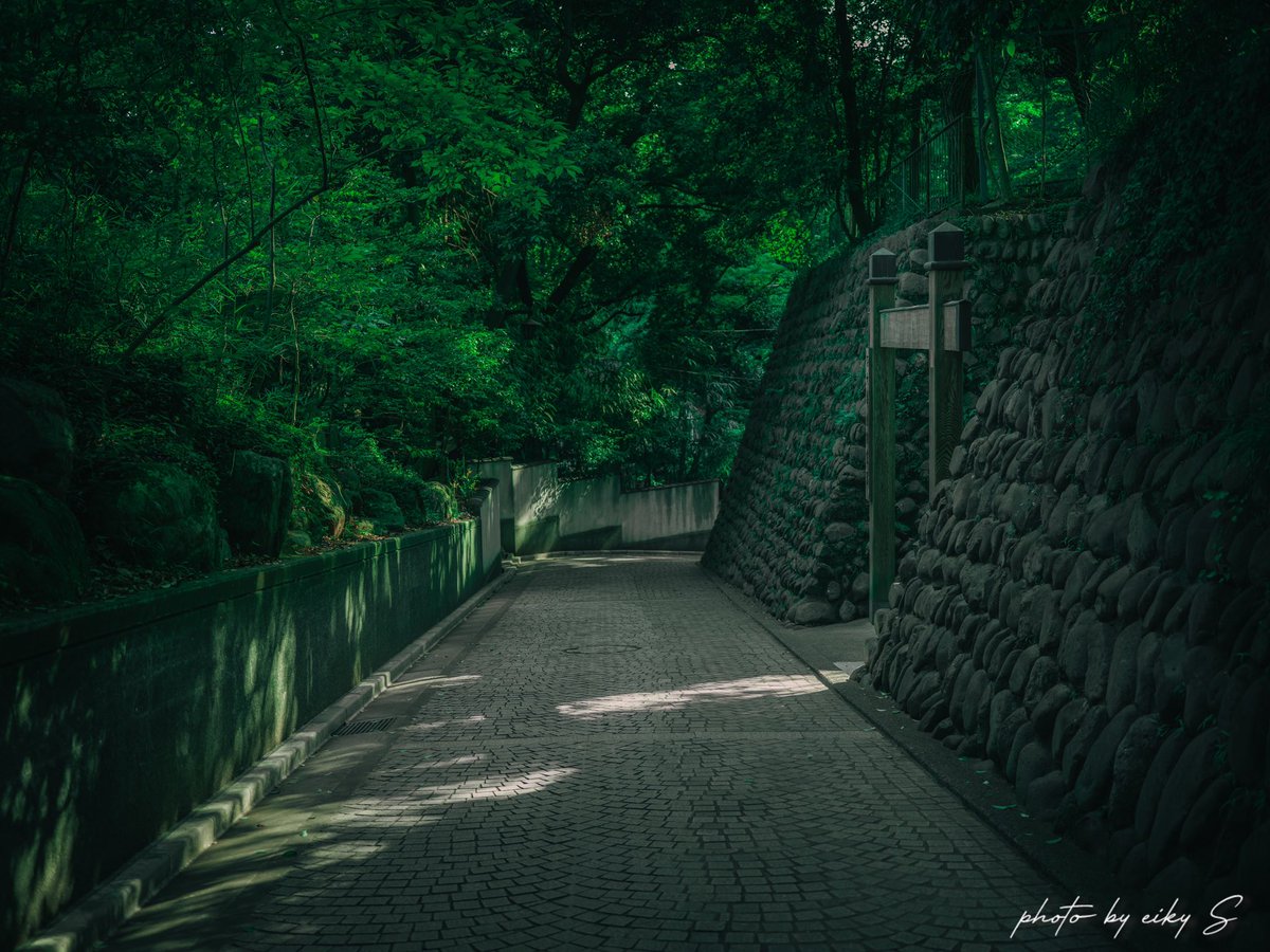 єเкเ (@eiky1102) on Twitter photo 