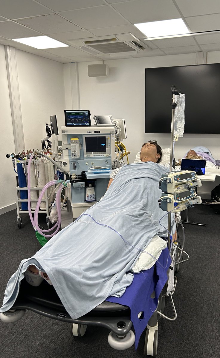 #GAMCLondon2025 simulation is ready so excited! <a href="/gunjeet99/">Gunjeet Dua</a> <a href="/dr_imranahmad/">Imran Ahmad</a> <a href="/Gintare79405873/">Gintare</a>