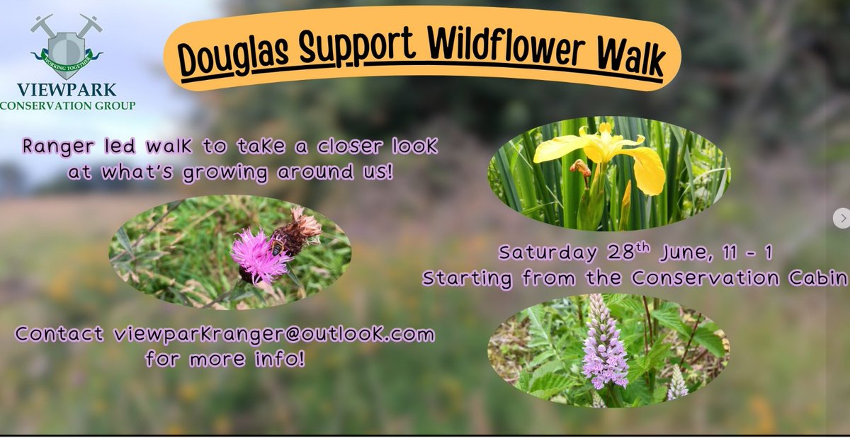 Wildflower walk over at Viewpark
On Saturday, the 28th June, they'll be running their highly requested estate Wildflower Walk

Join the ranger on a guided walk through the estate and learn about what they have growing and how important they are to our wildlife

<a href="/vparkconsgroup/">Viewpark Cons. Group</a>