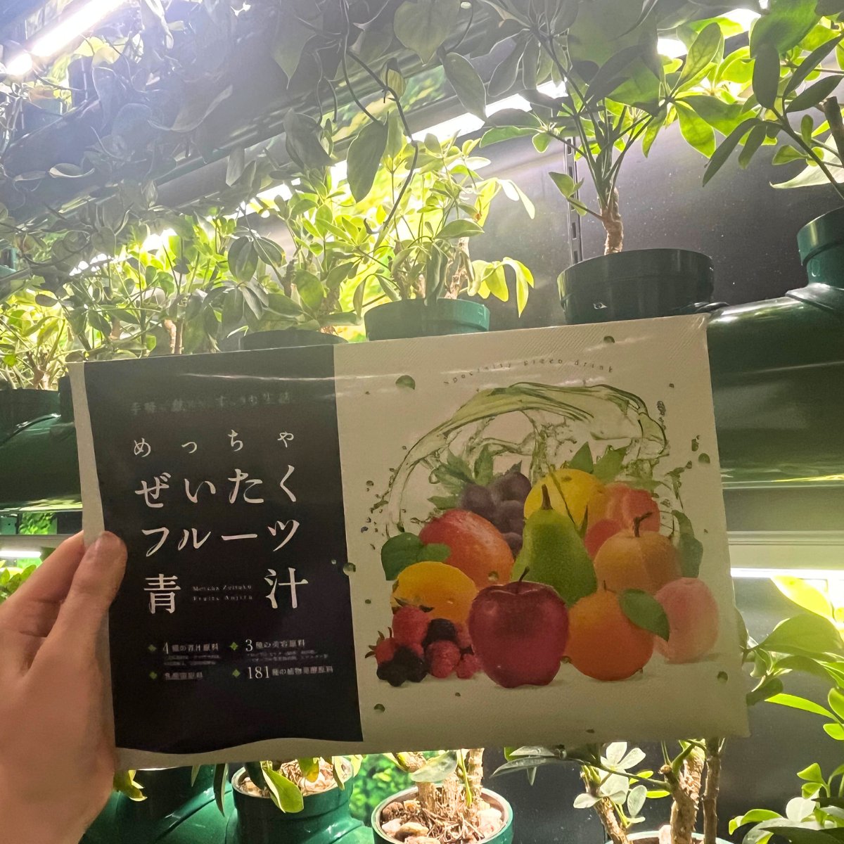 アラヴィスさんにお越しいただきました。ブーブークッションは走って買いに行こうと思いましたが、間に合いませんでした。
そして、中の人が大好きな青汁もいただいちゃいました。これで、「かっこよく、美しく」なれちゃう訳ですね。
