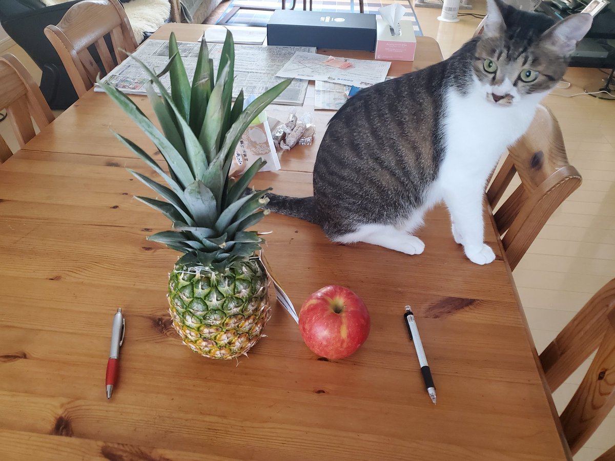 MIMICH0321's tweet photo. PPAP feat.C https://t.co/Fp4JQ8qhLt