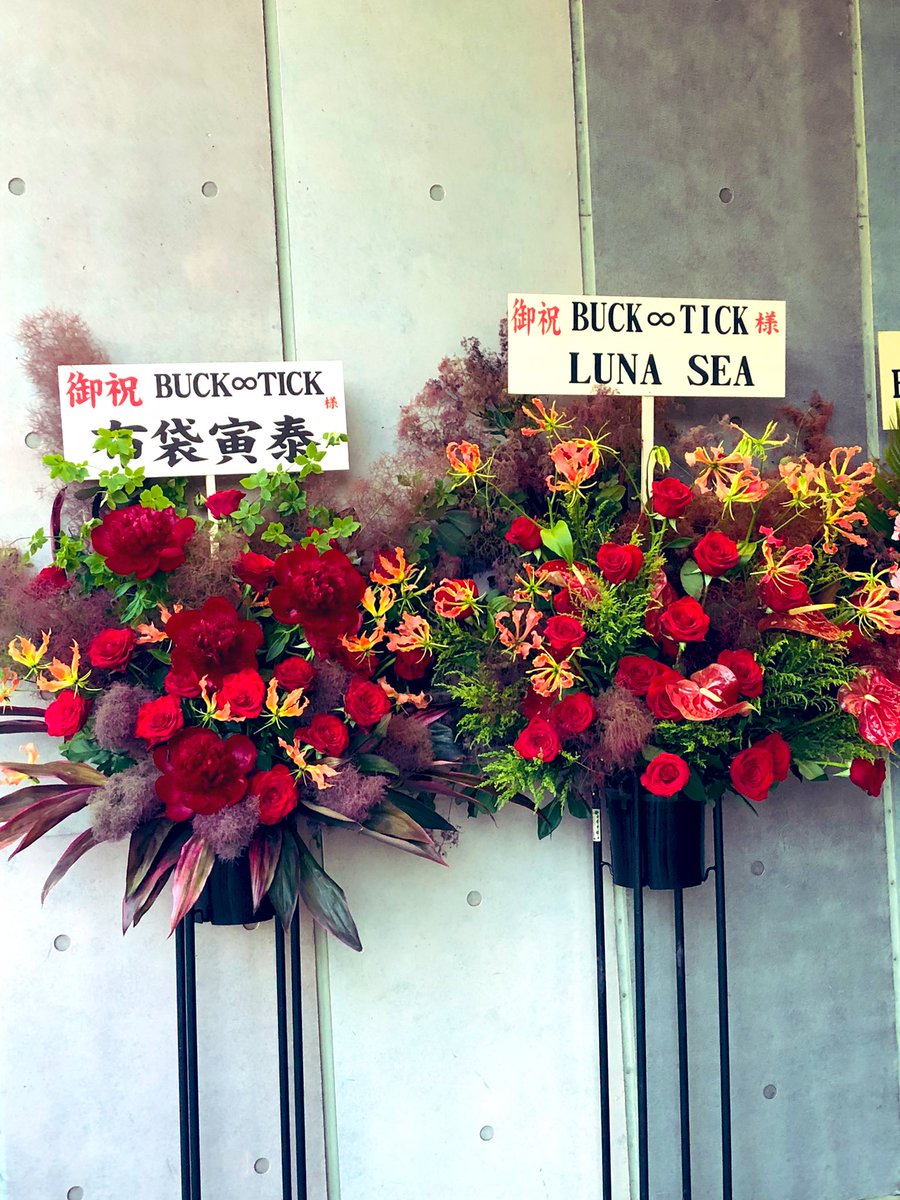 バカが吹いてもリコーダー tweet media