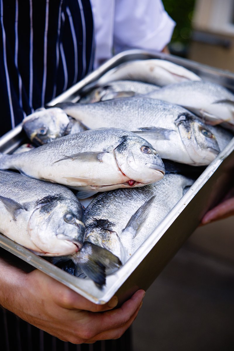 Hambleton Hall Hotel tweet media