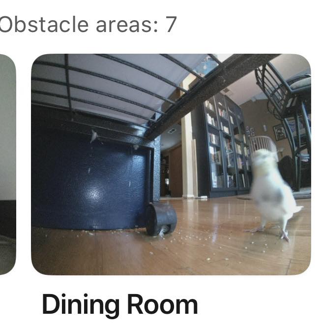 cockaztiel's tweet photo. Roomba: I have detected an obstacle.
The obstacle: https://t.co/Z2EveuJFrt