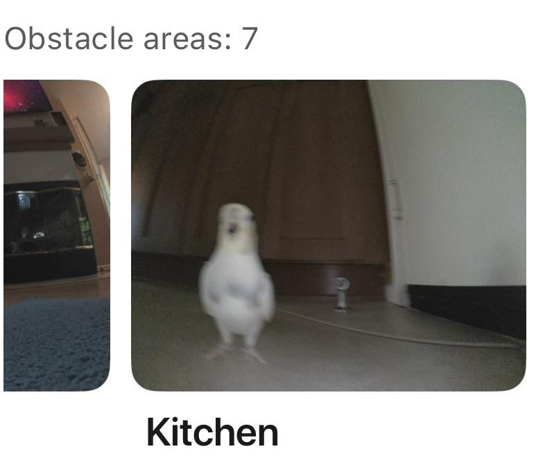 cockaztiel's tweet photo. Roomba: I have detected an obstacle.
The obstacle: https://t.co/Z2EveuJFrt