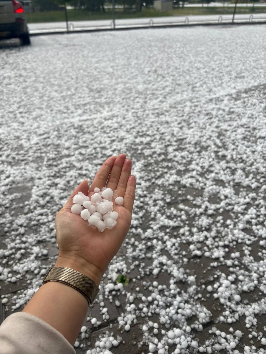 Martins Bergšteins tweet media