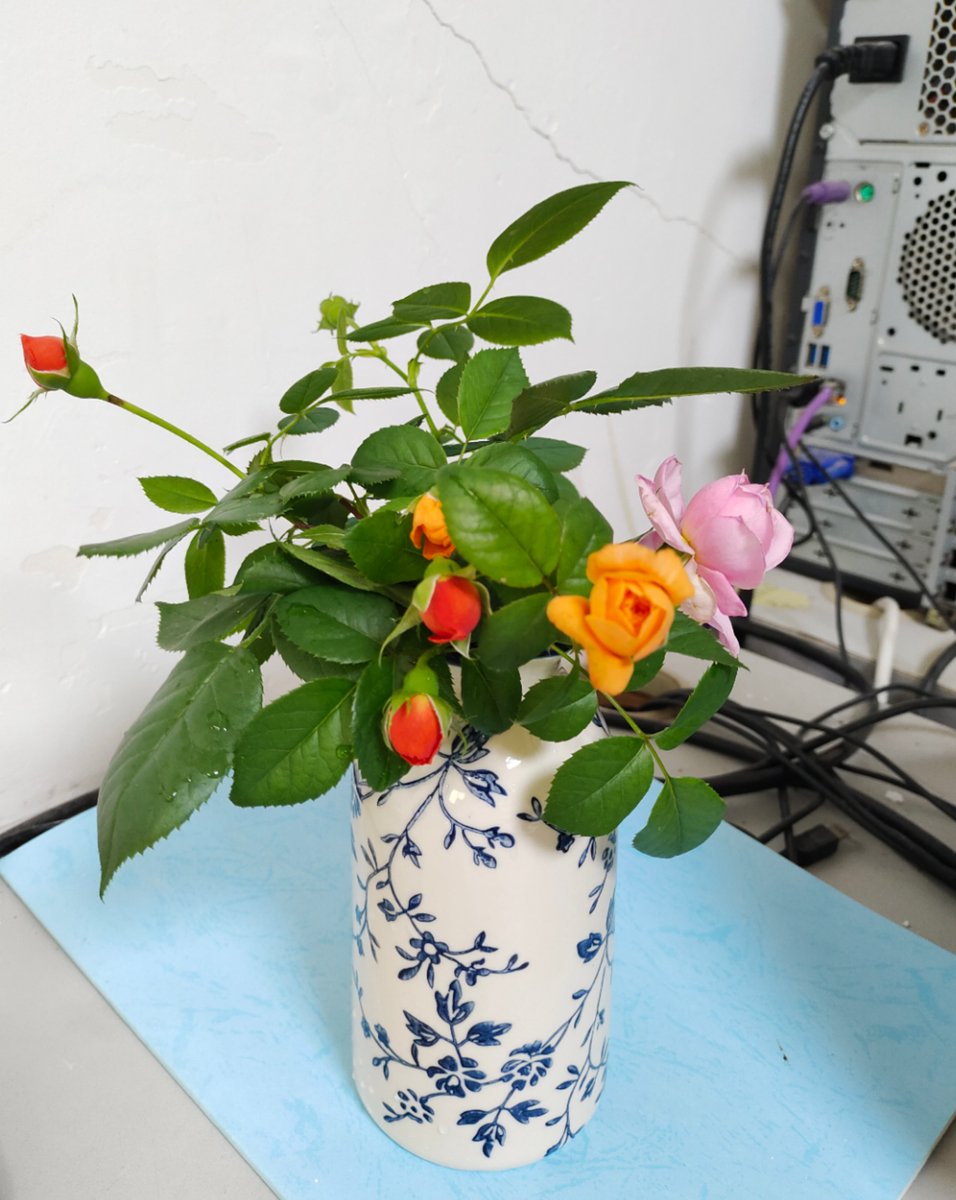 chensijing3's tweet photo. Every flower planted by hand is precious. The fragrance is charming and refreshing. https://t.co/gF9k2j5iHN