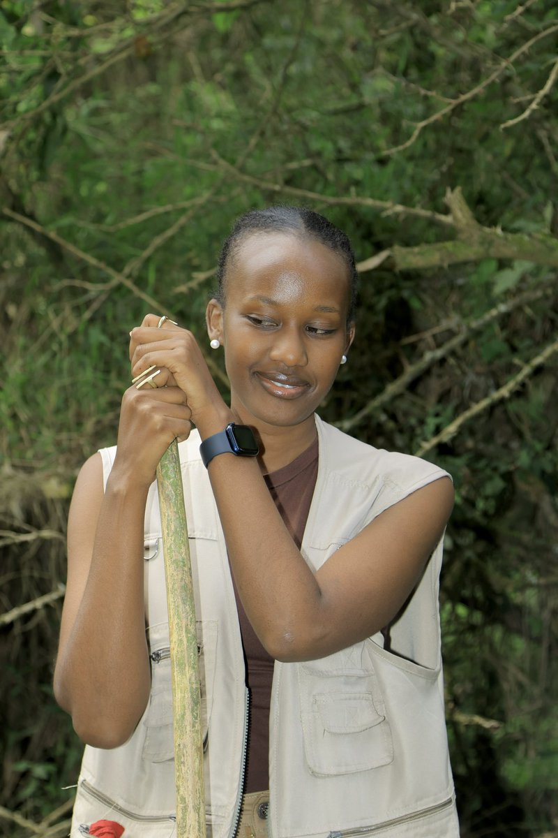 Me looking at Golden Monkeys in <a href="/mgahingapark/">Mgahinga Gorilla National park</a>
