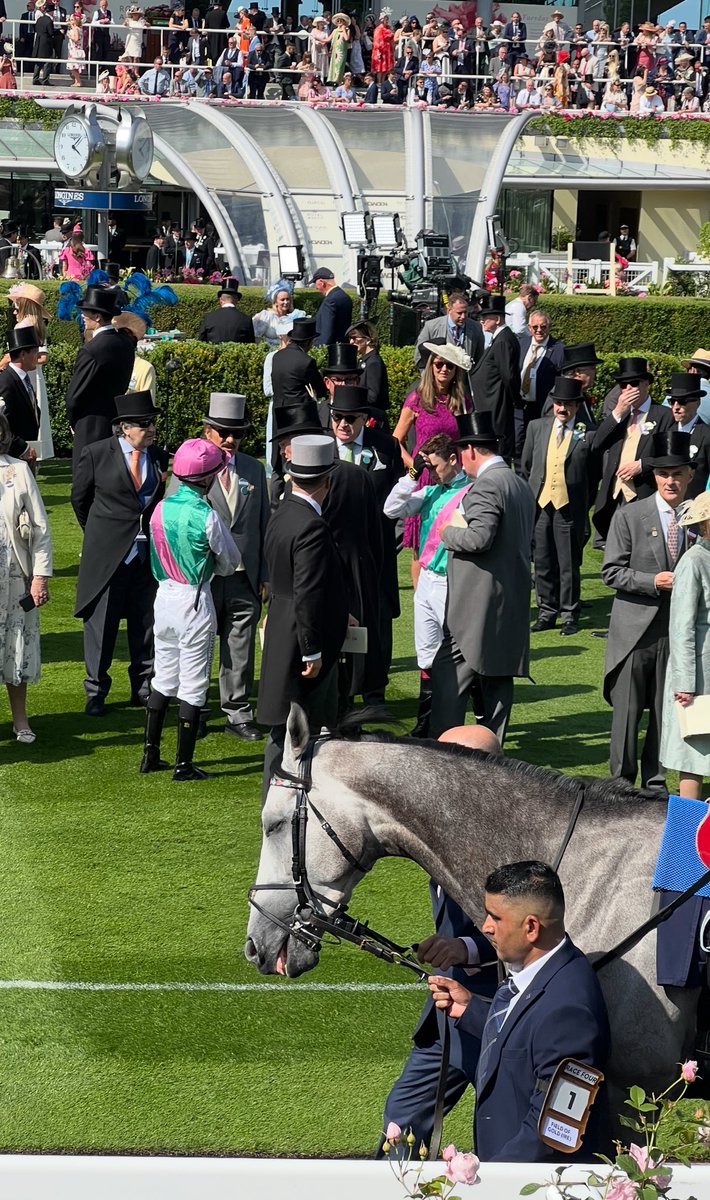 Randy Rann (@randy_rann) on Twitter photo More luck than judgement but Field Of Gold looks half asleep as he warmed up for the big test. Flowers in foreground match jockeys colours! Delivered in breathtaking fashion. The best since Frankel. <a href="/Ascot/">Ascot Racecourse</a> More luck than judgement but Field Of Gold looks half asleep as he warmed up for the big test. Flowers in foreground match jockeys colours! Delivered in breathtaking fashion. The best since Frankel. <a href="/Ascot/">Ascot Racecourse</a>