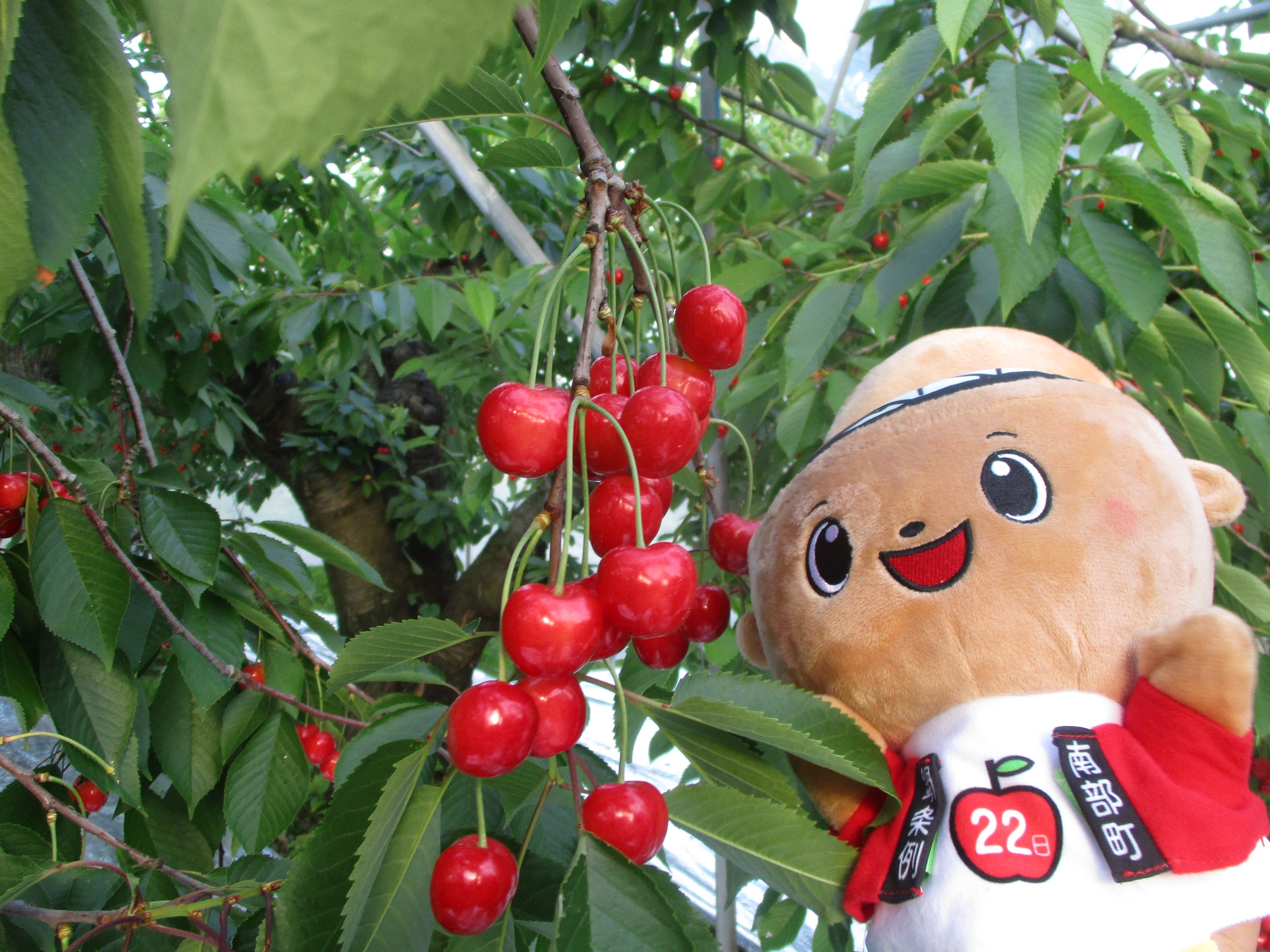 なべまる なべまる (@nabemaru_22) / X