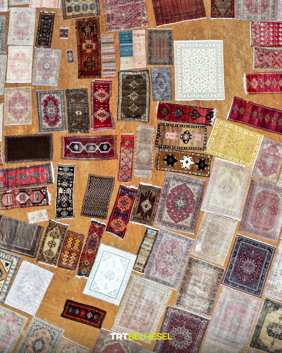 TRTBelgesel's tweet photo. Antalya'nın halı ve kilim tarlaları ✨
Döşemealtı ilçesinde, Türkiye'nin farklı bölgelerinden tek tek toplanan el dokuması halı ve kilimler, renklerinin pastelleşmesi ve mikroplardan arınması için tarlalara seriliyor. ☀️
📸: AA https://t.co/vTGyjkkL9O