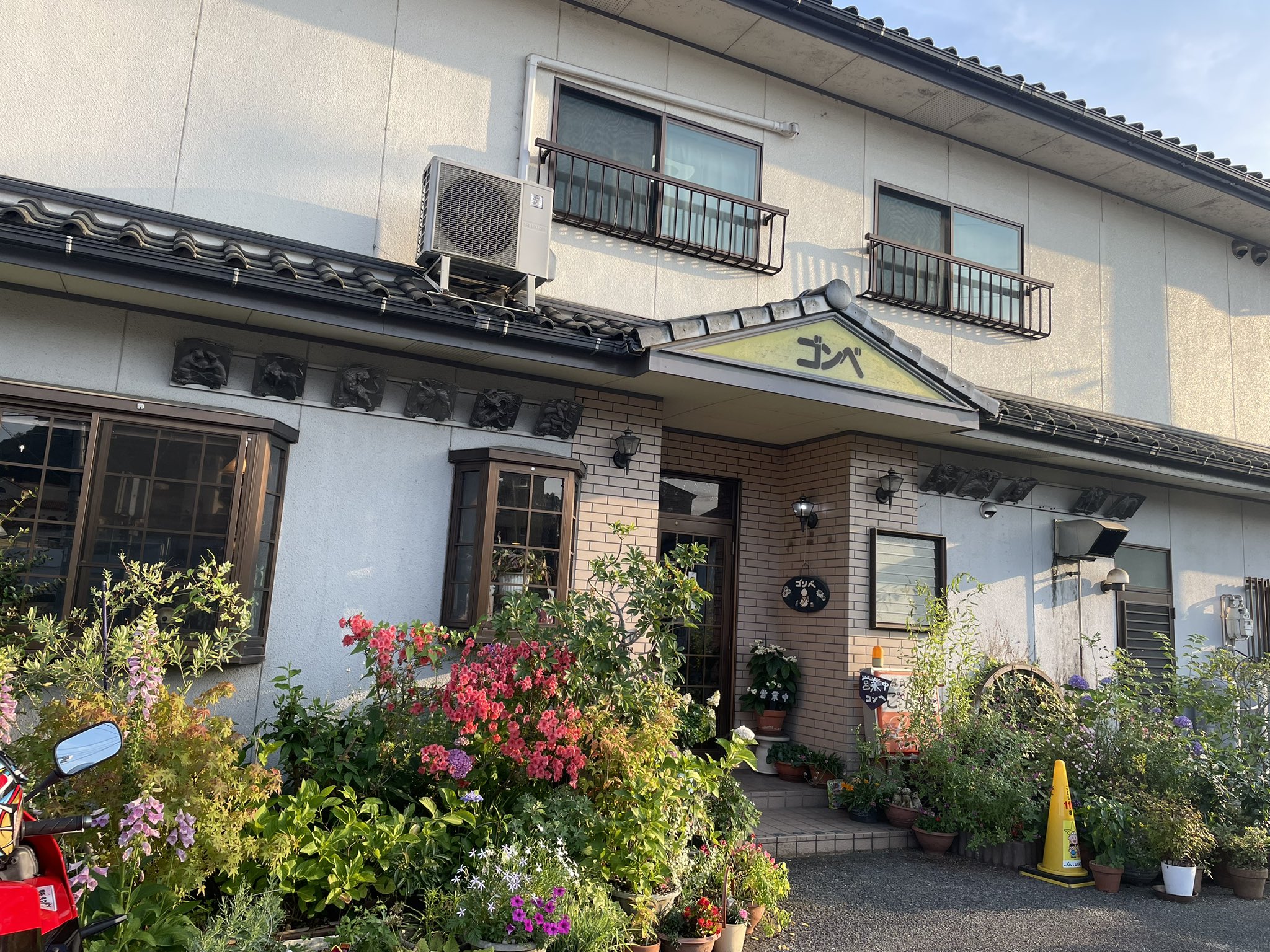 ゴンベ - Search / X