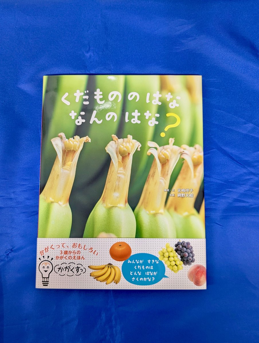 【本日入荷の気になる新刊】
『くだもののはな　なんのはな？』
（構成・文：宮崎祥子、写真：網野文絵／岩崎書店）
iwasakishoten.co.jp/book/b10134757…
【三条店／山田】