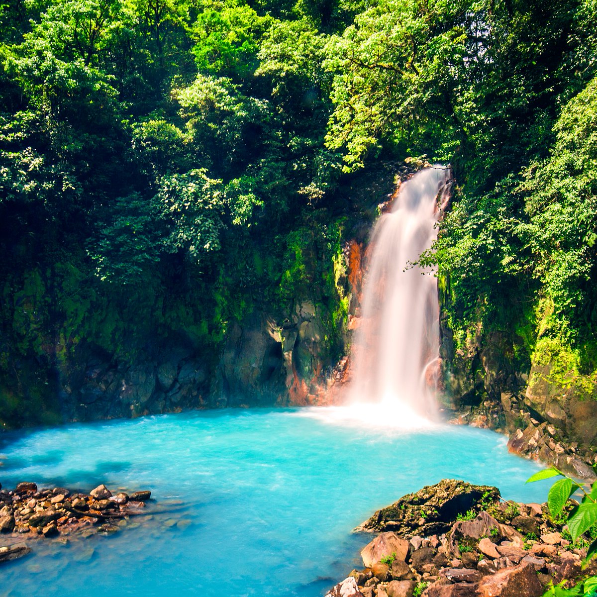 Hace 20 años que estuve en #CostaRica 🇨🇷 y desde entonces sueño con volver y más ahora que iría con mis pequeños exploradores que aman la naturaleza.
Y es que este destino es sinónimo de:

🌎Biodiversidad brutal, es uno de los países con más variedad de ecosistemas del mundo.