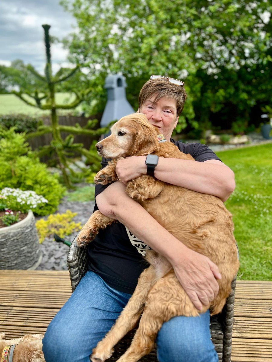 SpanielsSuper's tweet image. I never get cuddled 😐 #BadlyDoneTo