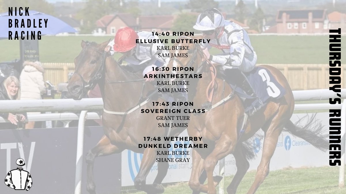 We have four runners today, two of which are 2yo fillies making her Racecourse’s debut, we wish them a positive first day at school.

Arkinthestars and Sovereign Class both hold each way chances at a track they have ran well previously at.

Good luck to all our owners today