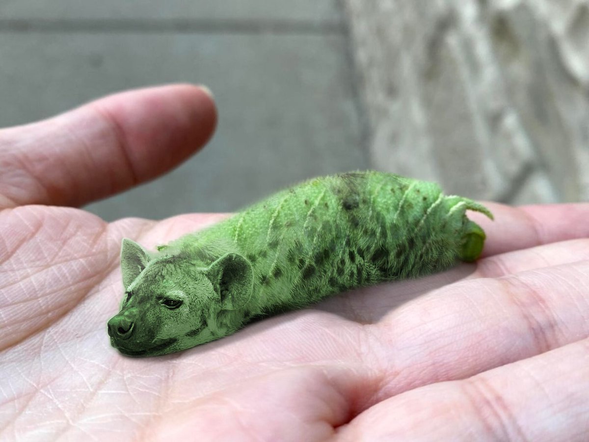 yeenerpillar
