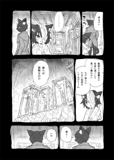 (3/6) 