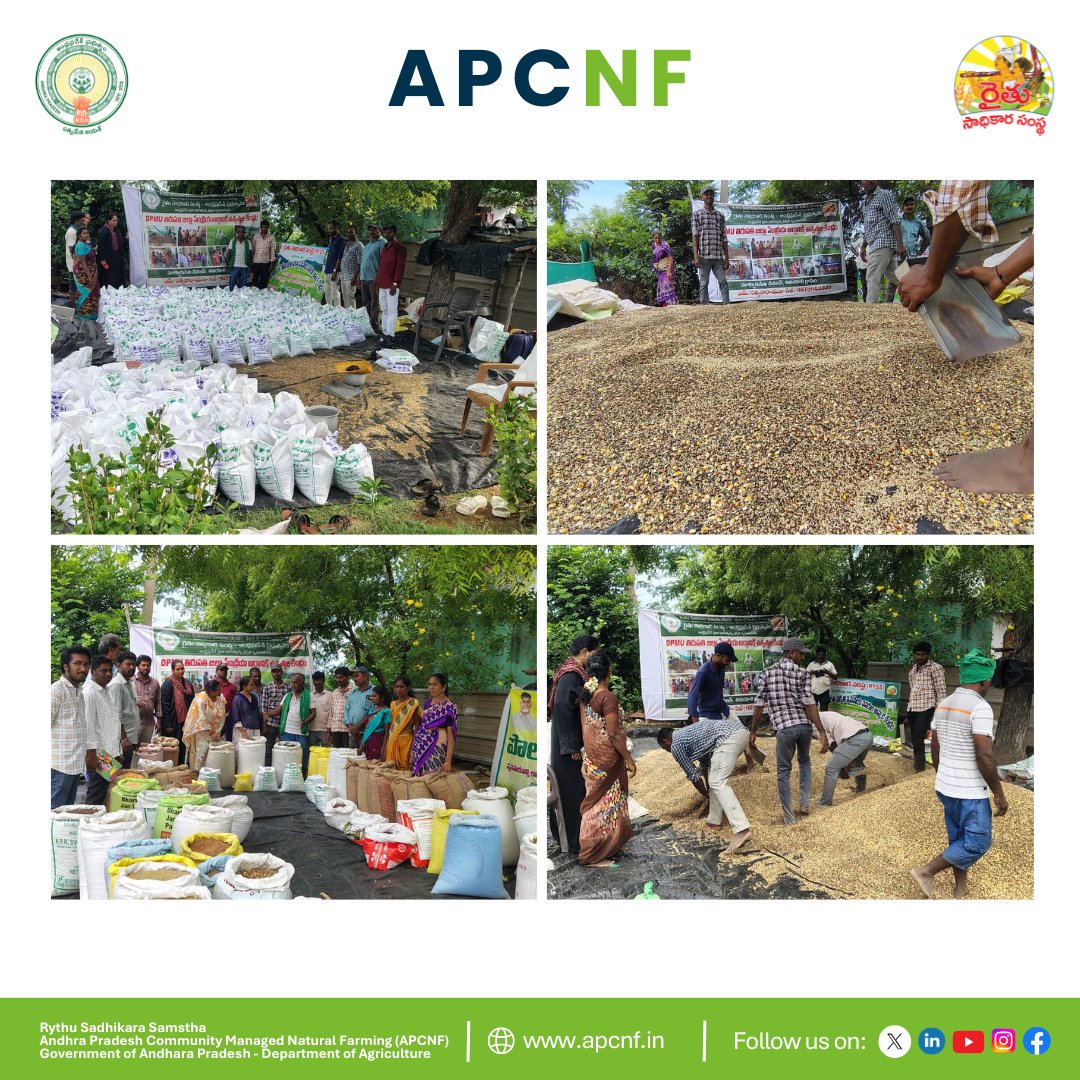 Andhra Pradesh Community-managed Natural Farming (@apzbnf) on Twitter photo Under the <a href="/APZBNF/">Andhra Pradesh Community-managed Natural Farming</a> initiative, Sri Satyanarayana prepared 300 #PMDS kits as part of the ongoing #PolamPilusthundi campaign in Doravarisatram mandal, Tirupati district. The activity, conducted in the presence of the Mandal Agriculture Officer, is aligned with the indent provided by Under the <a href="/APZBNF/">Andhra Pradesh Community-managed Natural Farming</a> initiative, Sri Satyanarayana prepared 300 #PMDS kits as part of the ongoing #PolamPilusthundi campaign in Doravarisatram mandal, Tirupati district. The activity, conducted in the presence of the Mandal Agriculture Officer, is aligned with the indent provided by