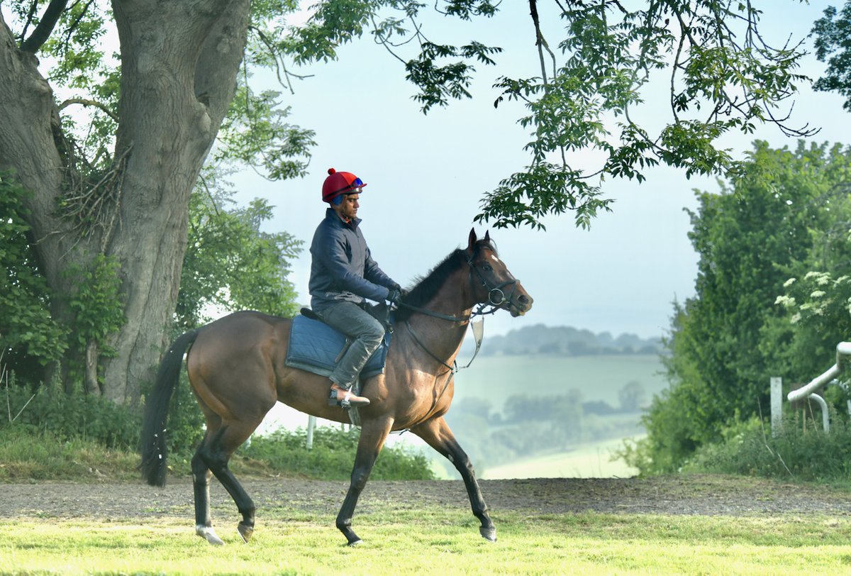 whatcomberacing (@whatcomberacing) on Twitter photo Afentiko (Hello Youmzain ex Mississipi Baileys) contests the Britannia Stakes at Royal Ascot today. He’s fit and well. Apprentice Warren Fentiman rides him in this heritage handicap over 1 mile, due off at 5.00 p.m. Afentiko (Hello Youmzain ex Mississipi Baileys) contests the Britannia Stakes at Royal Ascot today. He’s fit and well. Apprentice Warren Fentiman rides him in this heritage handicap over 1 mile, due off at 5.00 p.m.