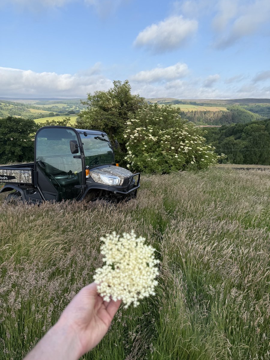 Our brewers have recruited Mother Nature to assist us once more for our next seasonal ale release; Elderflower Ale, coming soon! 🍻

#freshproduce #caskale #comingsoon #ThursdayThoughts