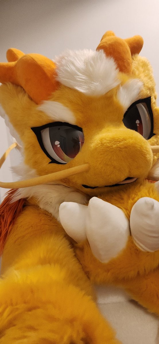 🌬️💕
#いいねの数だけうちの子のちょっとした情報を教える