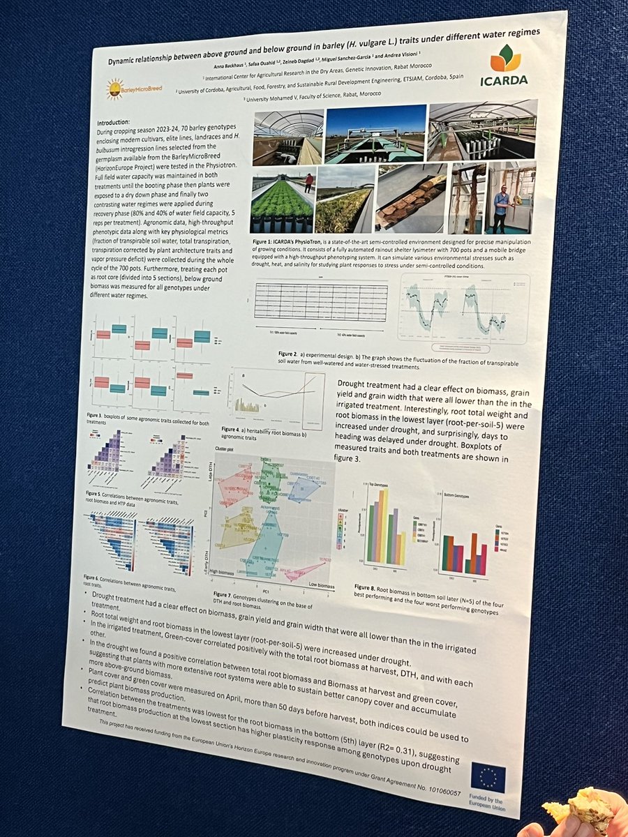 BarleyMicroBreed (@breedmicro) on Twitter photo Sincere gratitude from #BarleyMicroBreed to #Rhizosphere6 for an inspiring conference👏. We received fantastic and truly inspiring feedback on our presentations - keynote by <a href="/VestergardMette/">Mette Vestergård</a>, talk by Menghui Dong and posters by Karl Körber and <a href="/Visio80/">Andrea Visioni</a>🙏🌾🌞. Sincere gratitude from #BarleyMicroBreed to #Rhizosphere6 for an inspiring conference👏. We received fantastic and truly inspiring feedback on our presentations - keynote by <a href="/VestergardMette/">Mette Vestergård</a>, talk by Menghui Dong and posters by Karl Körber and <a href="/Visio80/">Andrea Visioni</a>🙏🌾🌞.