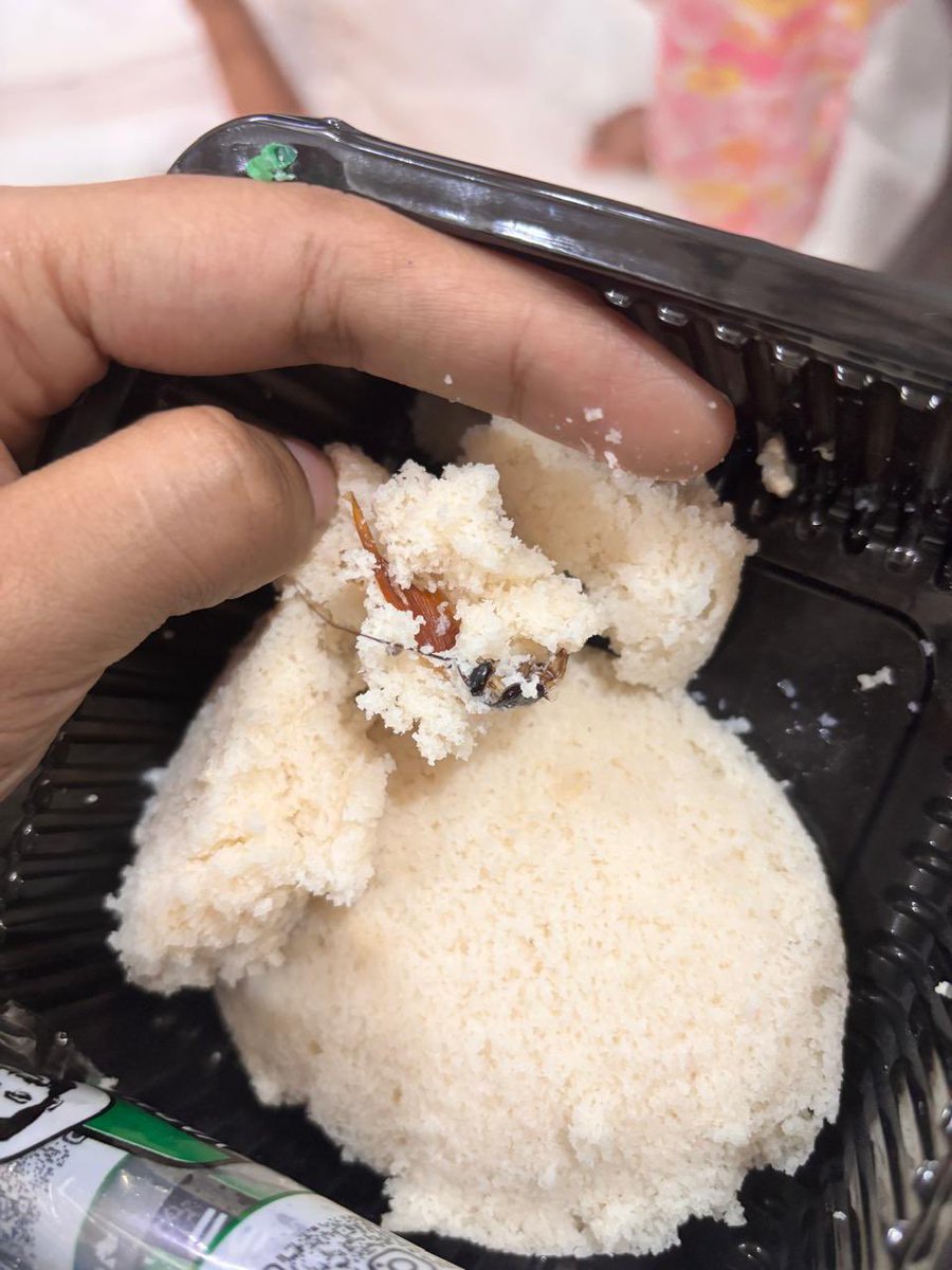 LohithSarma's tweet photo. we feed my niece the same idly, who’s 8 month old, in the middle of idly we found coackrach, this is not all acceptable please do take serious action on this and do the needful. I have attached clear pictures of the same

@cfs_telangana @TelanganaCMO @Bhatti_Mallu https://t.co/V4ExNMkBTj