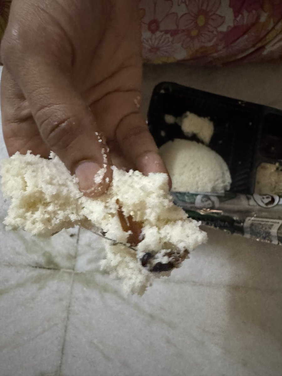 LohithSarma's tweet photo. we feed my niece the same idly, who’s 8 month old, in the middle of idly we found coackrach, this is not all acceptable please do take serious action on this and do the needful. I have attached clear pictures of the same

@cfs_telangana @TelanganaCMO @Bhatti_Mallu https://t.co/V4ExNMkBTj