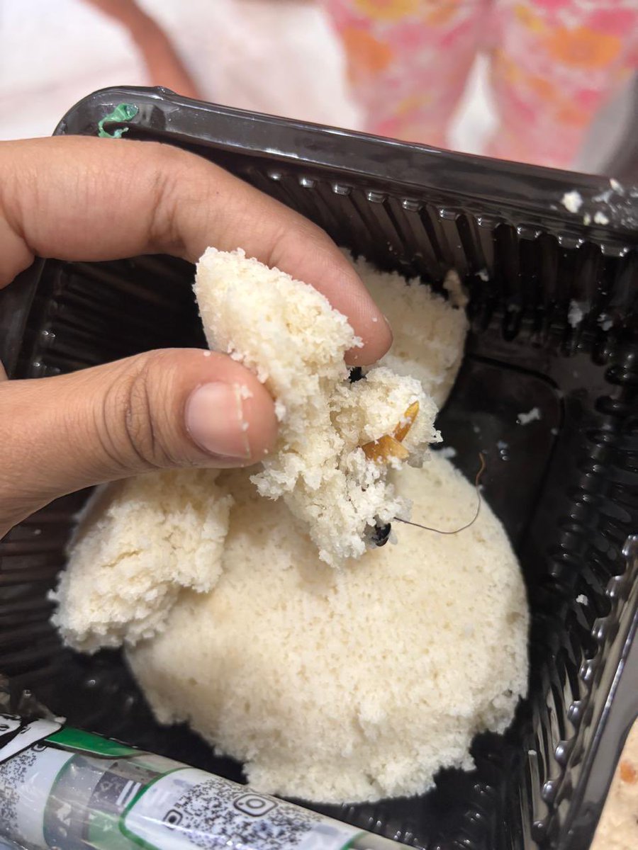 LohithSarma's tweet photo. we feed my niece the same idly, who’s 8 month old, in the middle of idly we found coackrach, this is not all acceptable please do take serious action on this and do the needful. I have attached clear pictures of the same

@cfs_telangana @TelanganaCMO @Bhatti_Mallu https://t.co/V4ExNMkBTj