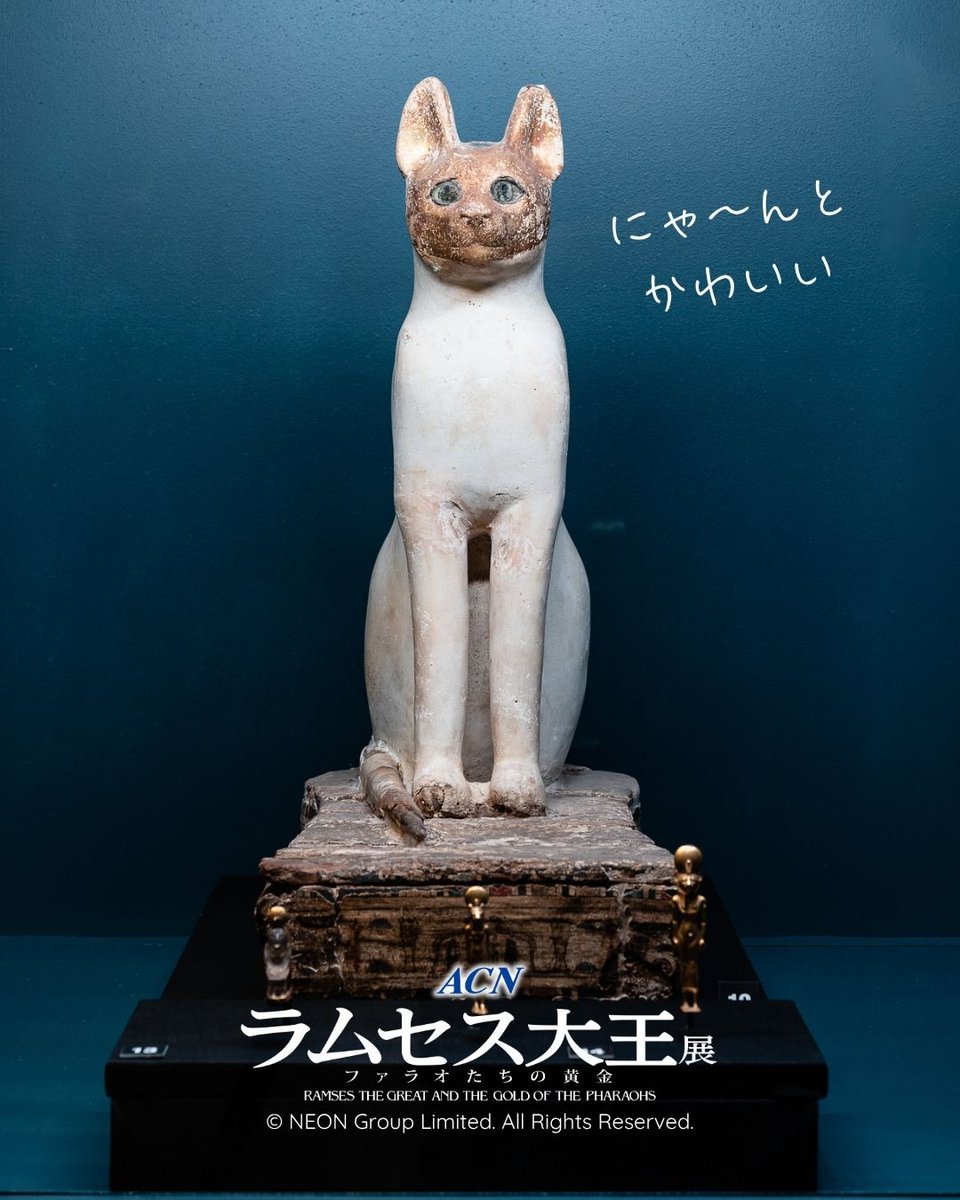 古代エジプト では、 動物もミイラにしていたって🧐知ってましたか