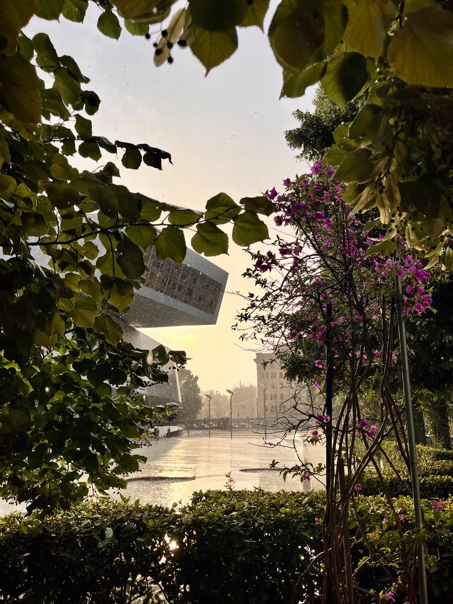 Roman Summer Rain.

#MAXXI #Roma #Rome