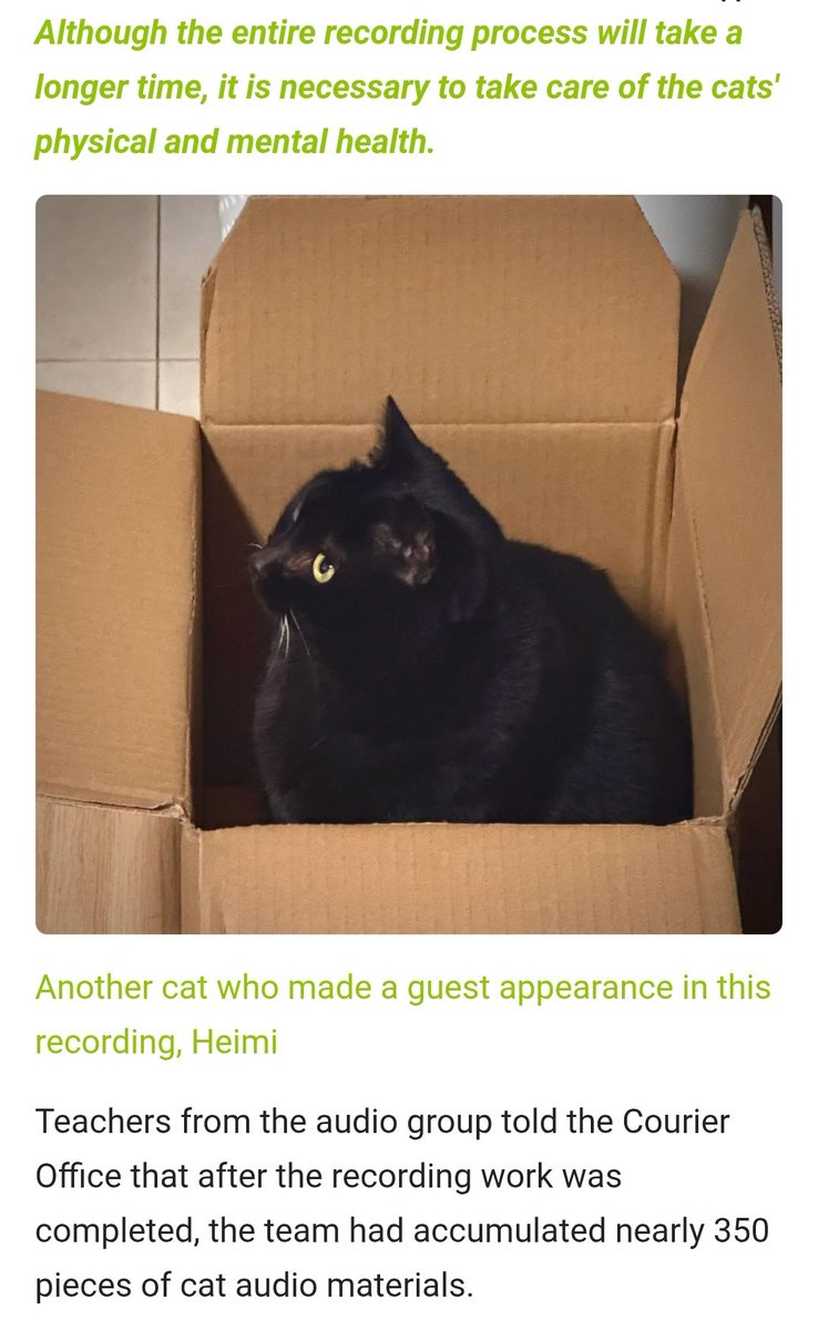 "We have a problem, our actors keep licking the microphones"