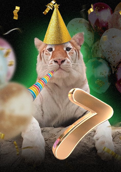 avathecutetiger's tweet photo. Hooray meow! 🐯

today is "210 days ✨" or "7 months✨" of $AVA since the coin was created!

our goal is still the same that send $AVA to the MOON 🌕🚀

of course! we will can't do this if without you guys "The truly diamond hand" 💎 that sticking with the adorable big cat.

Thanks! 
#memecoin #SolanaMeme