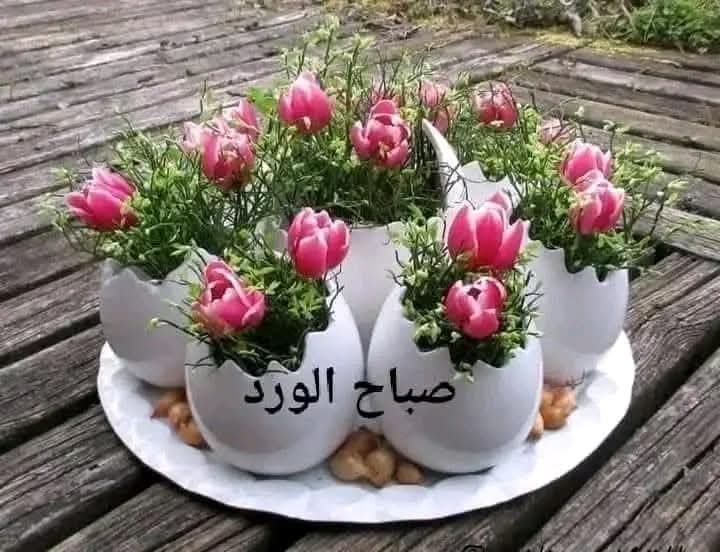 القيصر tweet media