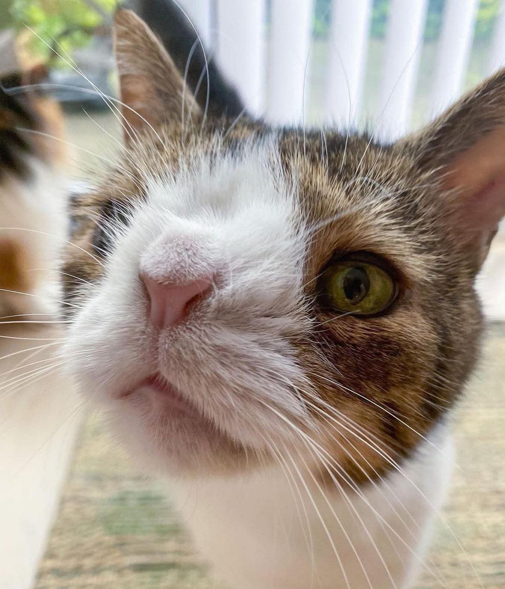 Виждам виждам, станали сте вече😂