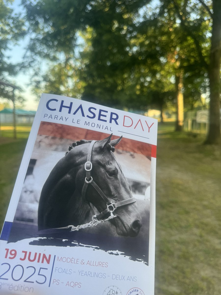 Early Start 🇫🇷🏇☘️