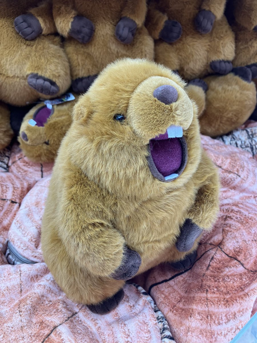 マーモット　音声　ぬいぐるみ　けたたましい、雄叫び！！　雄叫び　セット　まとめ 新品み 未開封 けたたましい 雄叫び！！ マーモット 音声ぬいぐるみ