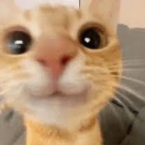 Mau33p's tweet photo. Yo cuando me llega esa notificación :) https://t.co/qk6oFMAL6j
