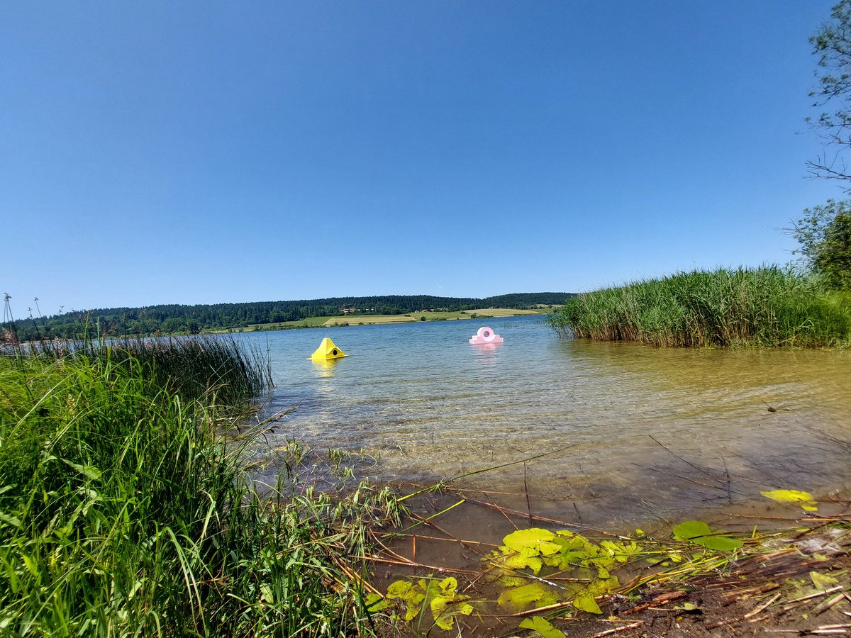 nicoukocher's tweet photo. Vu à #Malbuisson #Jura #France

Une belle balade poétique...

Sur les rives du #Lac Saint-Point une promenade artistique  éveillant la curiosité

Des artistes engagés qui interpellent, dialoguent, s’harmonisent avec la nature et l’accompagnent

https://t.co/GNermiDeUQ
#art https://t.co/N42WzHz4Ey