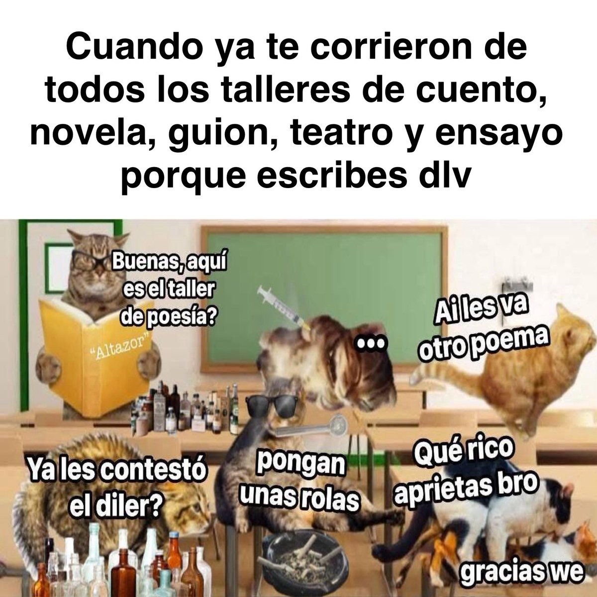 gato malo (@vlads_on) on Twitter photo 