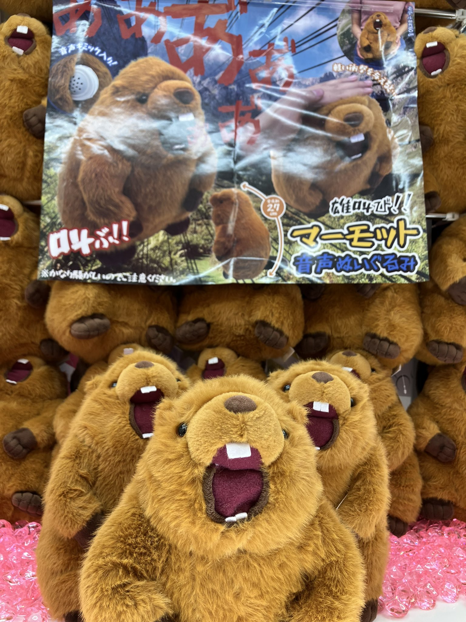 タイステ府中くるる店🌸 on X: 