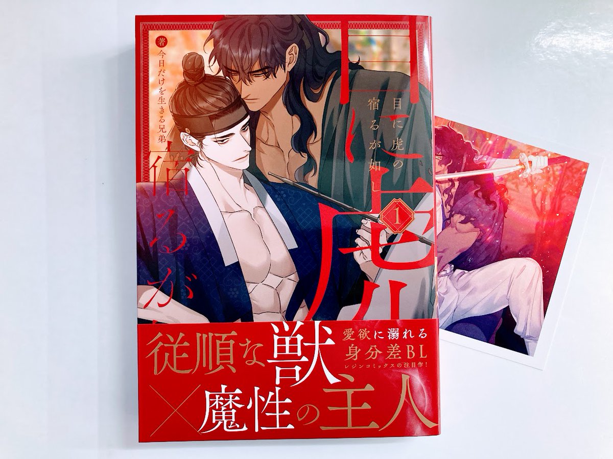 【書籍入荷情報】

＃今日だけを生きる兄弟(<a href="/busy_bwthell/">감러</a>)先生
『＃目に虎の宿るが如し(1)』
入荷したどすえ～‼️‼️

アニメイト特典で「メッセージペーパー」が付きます🎁
この機会にぜひお買い求めください✨✨
＃アニ推しBL