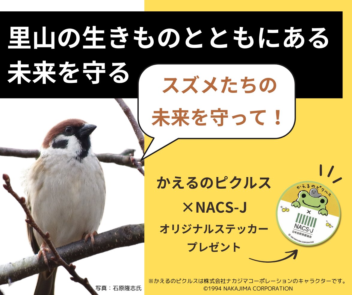 🐸ご支援のお願い🐸
生物多様性に貢献する農業への転換に向け、これからも活動を進めていきますので、ご支援どうぞよろしくお願いします。
お礼品（かえるのピクルスのステッカーや、ぬいぐるみエコバック、自然栽培の和紅茶セット）のお申込みは6月末まで
nacsj.or.jp/2024/10/41983/
#かえるのピクルス