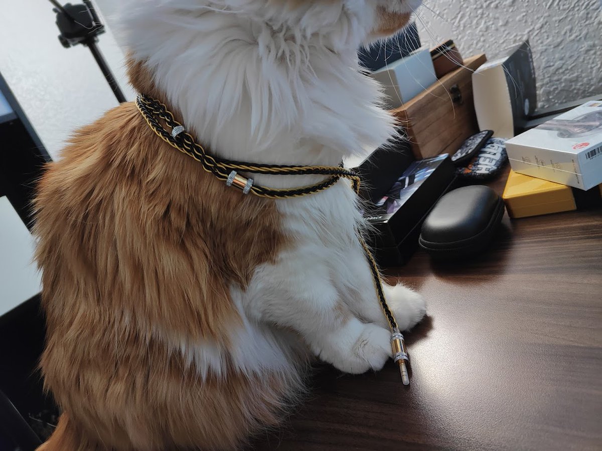 Sunny with his new Xinhs drip 😼🔥💯⛓️