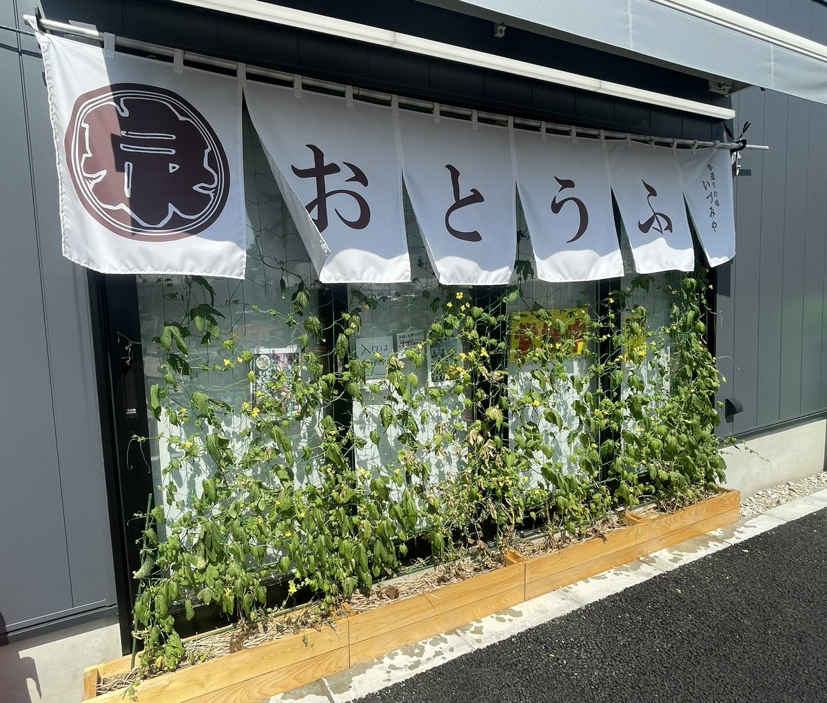 gurushimo2025's tweet photo. 下高井戸駅前の緑のカーテン！どんどん大きくなってきています✨ゴーヤの実もたくさん育っています。この暑さの中、頑張れ！ゴーヤさん！
#下高井戸  #下高井戸駅  #緑のカーテン  #ゴーヤ https://t.co/UwgI69qYSa